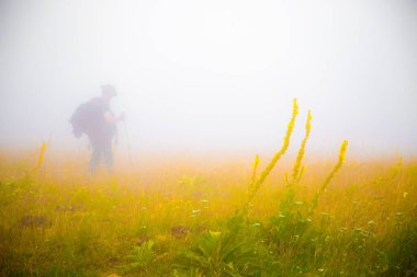 Sisli sabah takibi, sırt çantalı biri sis içinde renkli dağlık arazide yürüyor. Doğa kavramında izolasyon. Apennine Yarımadası 'ndaki çiçek açan çayır mevsiminde ideal bahar manzarası. Güvenli uzaklık 