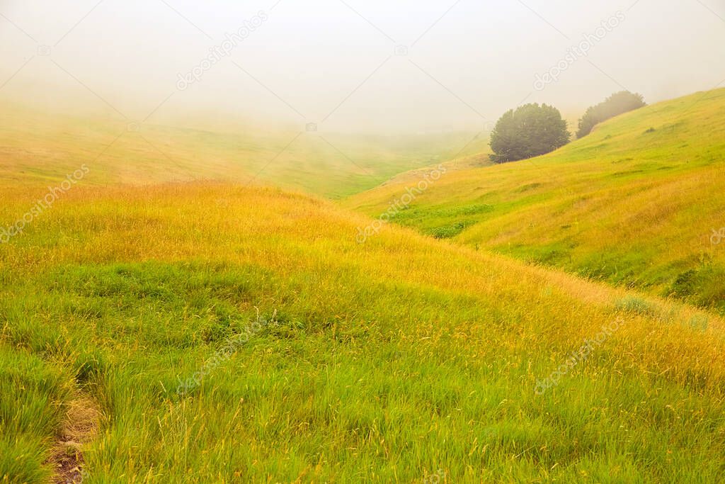 Misty morning in Alps, colourful field at the foot of a high mountain, italian alpine summer landscape. Idyllic springtime scenery in blooming meadow on Apennine Peninsula.