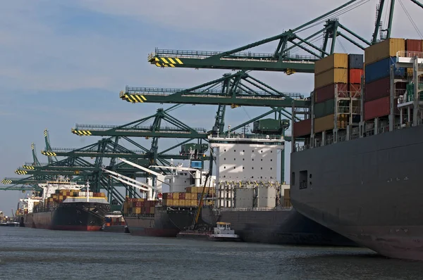 konteyner gemisi liman