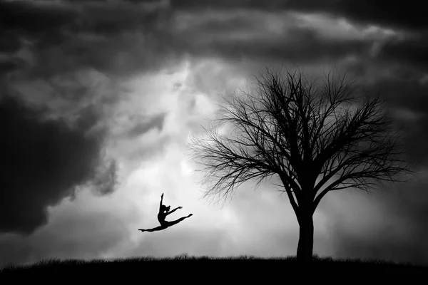 Silhouette bir balerin ve bir ağaç bir fırtınada