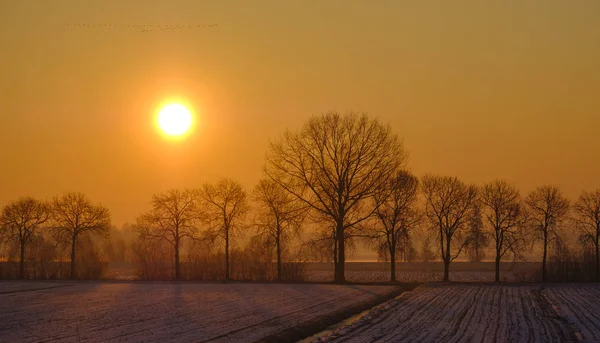 Východ slunce nad sněhem pokryté oblasti — Stock fotografie