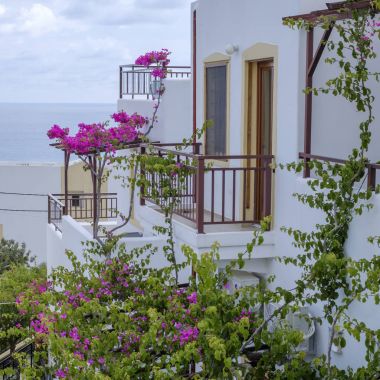 Bougainvillea çiçek ile geleneksel Yunan ev