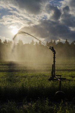 Su topu ile bitki sulama