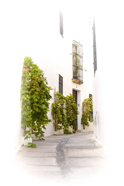 Rua estreita em uma antiga aldeia na espanha — Fotografia de Stock