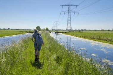 kadın çim tipik düz Hollandalı peyzaj yürüyor 
