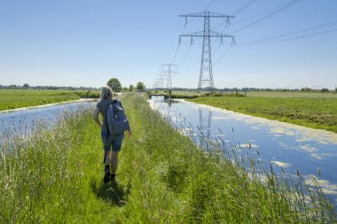 woman walks through the typical flat Dutch landscape of grass  clipart