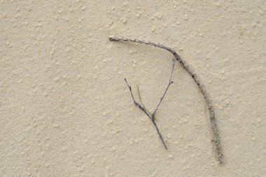 çim bir bıçak kuru kum üzerinde bir dalı altında yakalanır