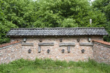 Bir böcek otel ya da böcek duvar böcekler için liv için özel yapılmış