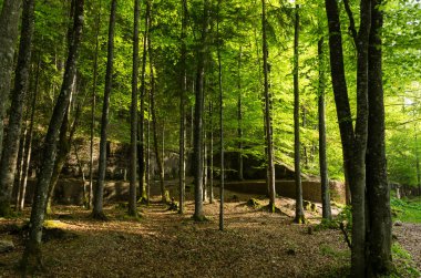 Berchtesgaden, Almanya (19 Mayıs 2017) - Berghof'un resti