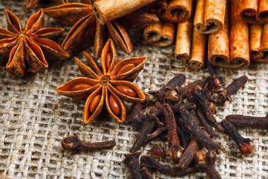 Baharat ve otlar. Yemek ve mutfak malzemeleri. Tarçın,