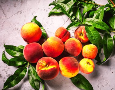 Taze şeftali, şeftali meyve arka plan, tatlı şeftali, grup p