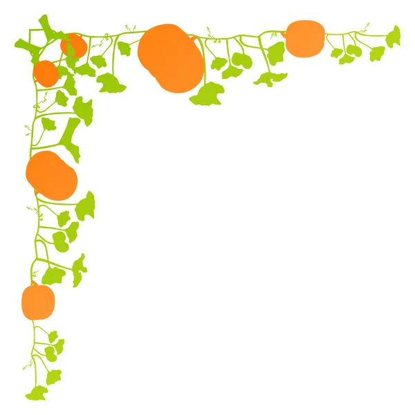 Naranja calabaza verde hojas planta vector fondo tarjeta marco — Archivo Imágenes Vectoriales