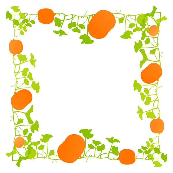 Orange pumpkin green leaves plant vector background card frame — Stock vektor