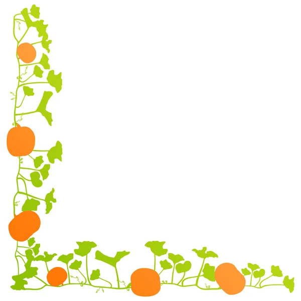 Orange pumpkin green leaves plant vector background card frame — Stock vektor