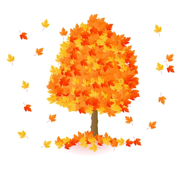孤立的秋天黄色橙色红色枫叶树 — 图库矢量图片