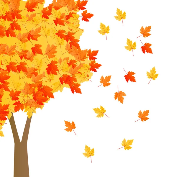 Árbol de arce rojo naranja amarillo otoño aislado — Vector de stock