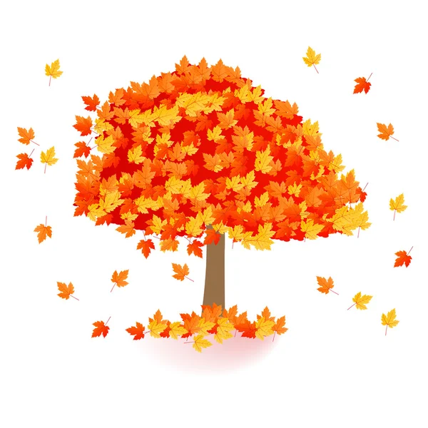 Autumn yellow orange red maple tree isolated — Stock vektor
