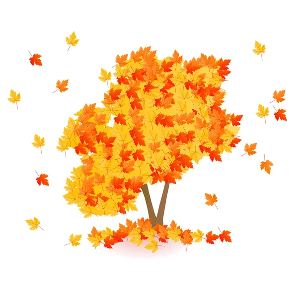 Autumn yellow orange red maple tree isolated — Stock vektor