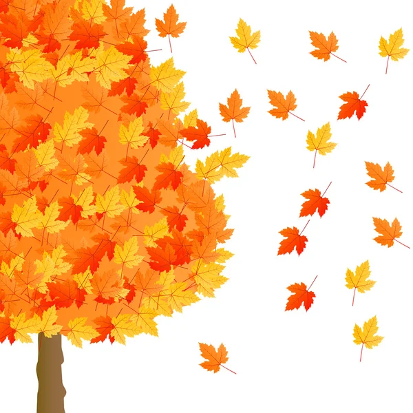 Árbol de arce rojo naranja amarillo otoño aislado — Vector de stock