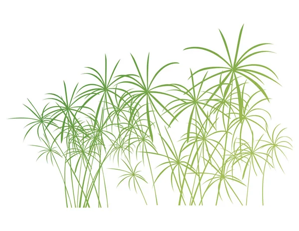 Tropical palm listy džungle vektorové pozadí, samostatný — Stockový vektor
