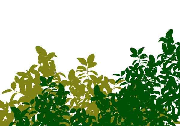 Groene boom bladeren gedetailleerde silhouet in natuur achtergrond illus — Stockvector