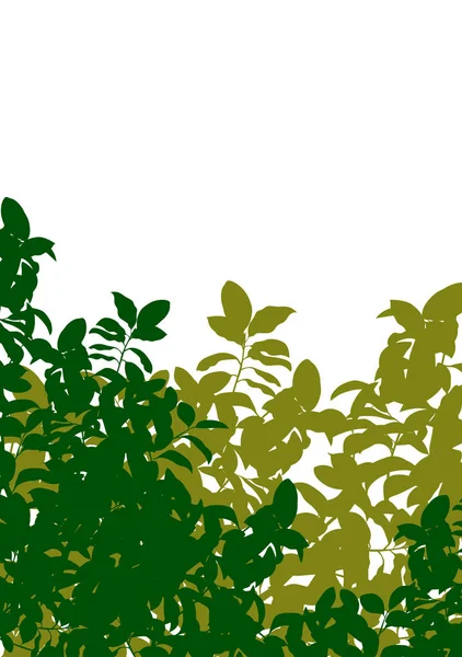 자연 배경 illus에 녹색 나무 잎 자세한 실루엣 — 스톡 벡터
