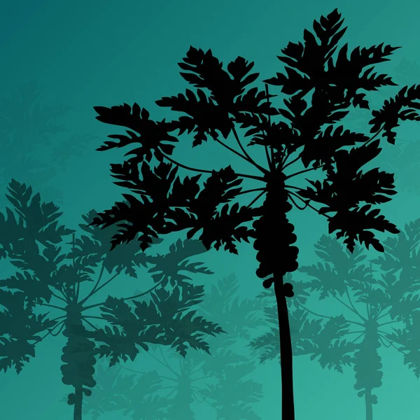 Palm bomen gedetailleerde grafische silhouetten abstracte aard CHTERGRO — Stockvector