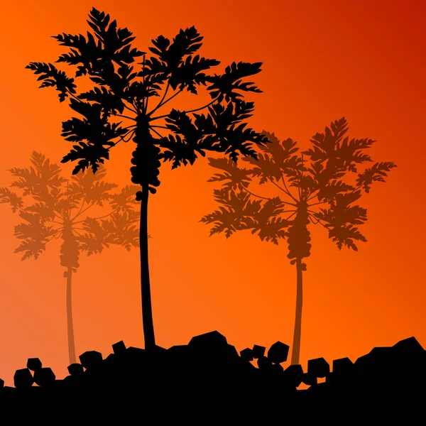 Palm bomen gedetailleerde grafische silhouetten abstracte aard CHTERGRO — Stockvector