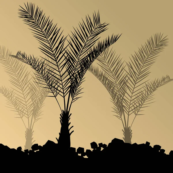 Palm stromy detailní grafické siluety abstraktní povahy poz — Stockový vektor