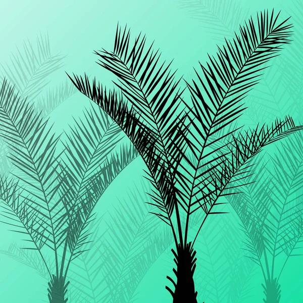 Palmen detaillierte grafische Silhouetten abstrakte Natur Hintergrund — Stockvektor