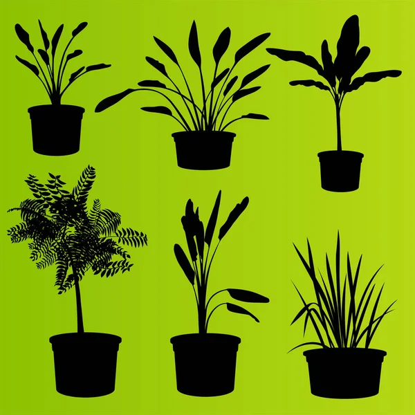 植木鉢の観葉植物が分離ベクトルを設定します。 — ストックベクタ