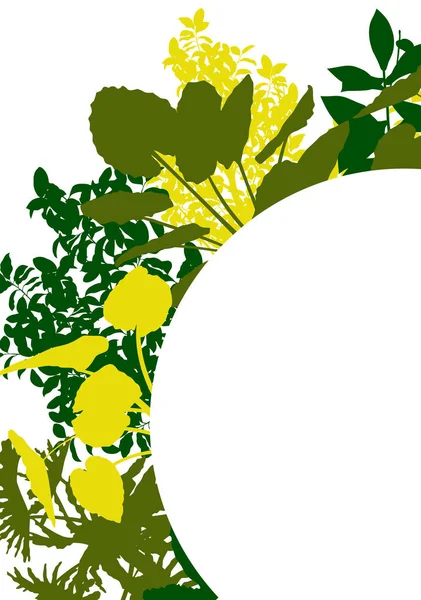 Divoké rostliny detailní siluety pozadí vektor nápis — Stockový vektor