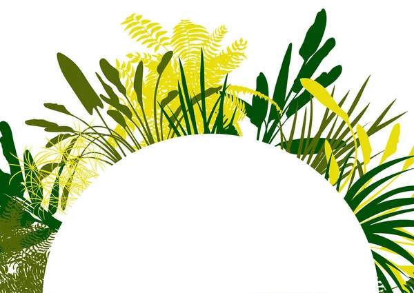 Plantes sauvages silhouettes détaillées fond vectoriel bannière — Image vectorielle