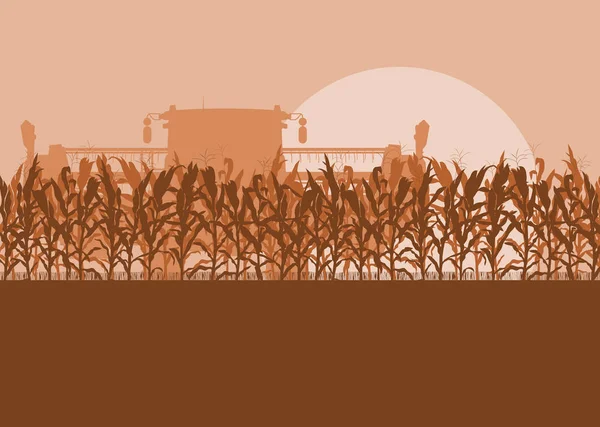 Campo de milho com colheitadeira noite ou luz da manhã paisagem vec —  Vetores de Stock