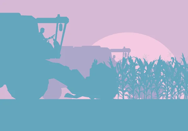 Corn field with harvester evening or morning light landscape vec — Stock Vector