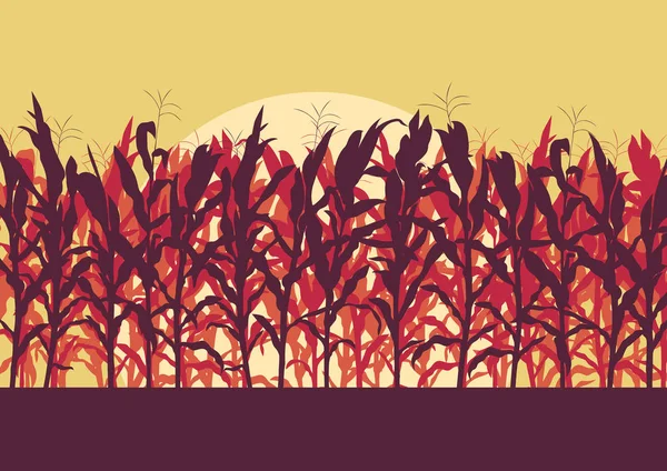 Campo de maíz tarde o mañana luz paisaje vector — Archivo Imágenes Vectoriales