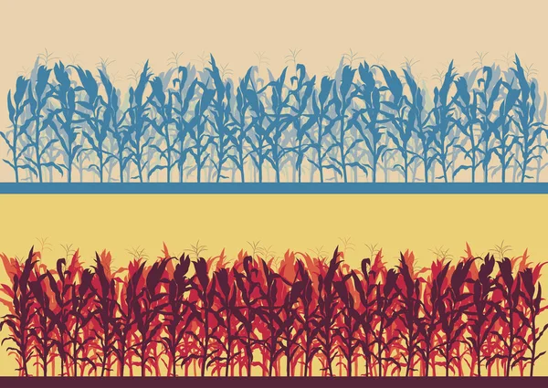 Champ de maïs vecteur de paysage lumière du soir ou du matin — Image vectorielle