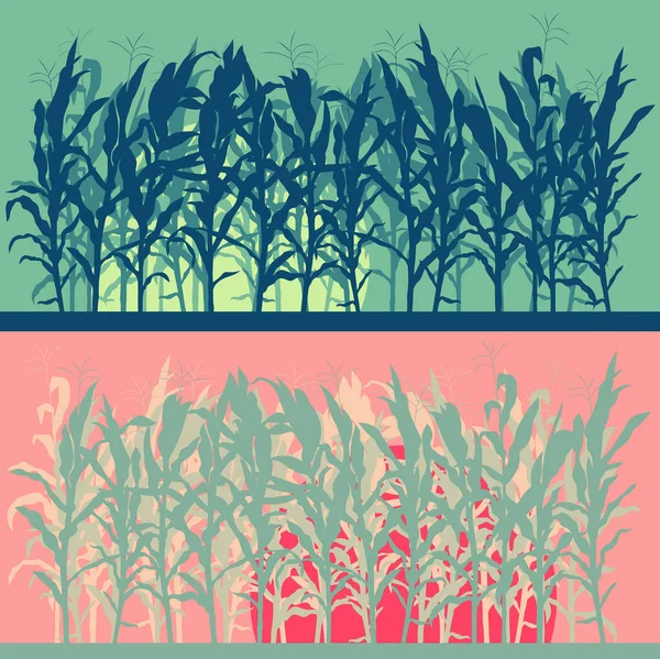 Corn field evening or morning light landscape vector — Stock Vector