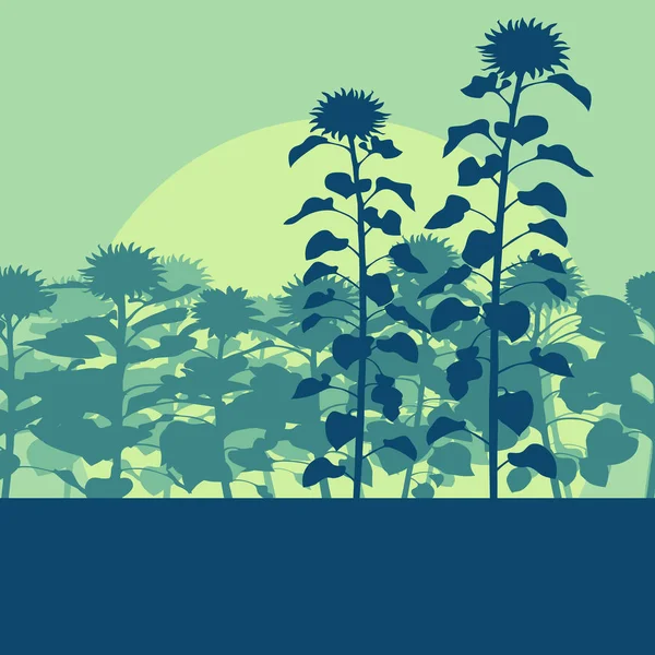 Blommande solrosor fältet vektor bakgrund landskap — Stock vektor