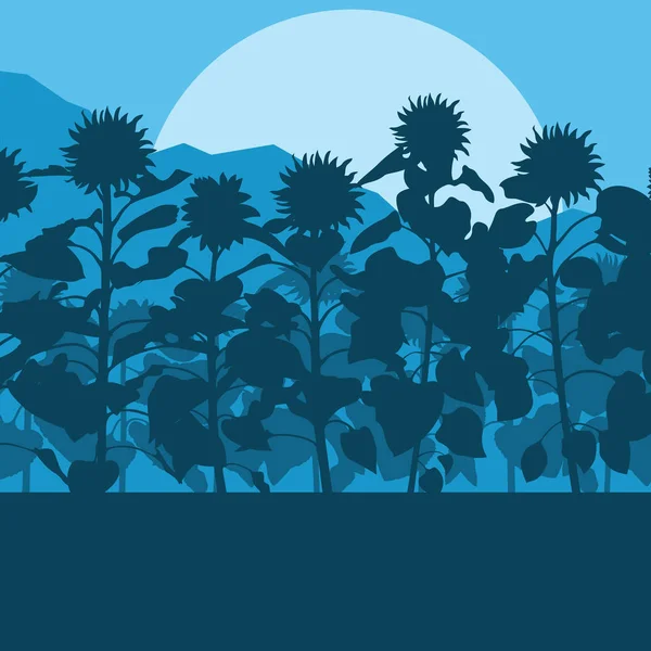 Bloeiende zonnebloemen veld vector achtergrond landschap — Stockvector