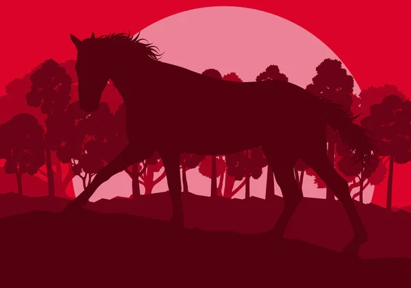 Cavalo árvores florestais selvagens paisagem com fundo vetor por do sol —  Vetores de Stock