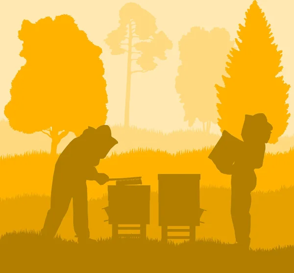 Beekeepers working with bees and hives vector background landsca — Stock Vector