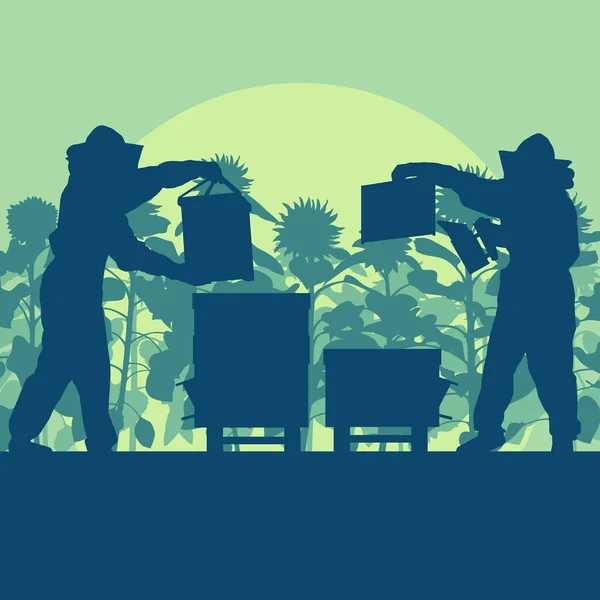 Apicoltore che lavora in apiario di fronte al vettore campo di girasole — Vettoriale Stock