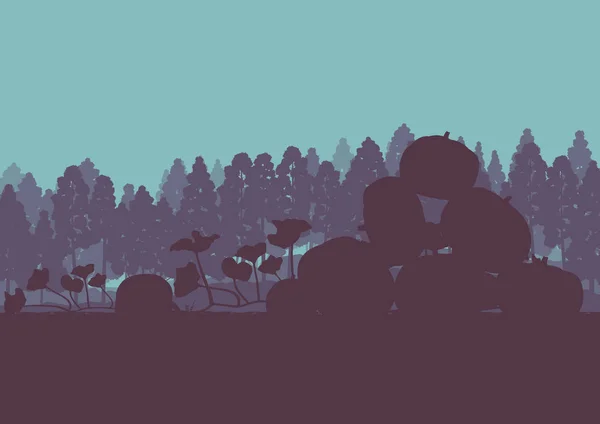 Champ de citrouilles devant le vecteur de coucher de soleil forestier — Image vectorielle
