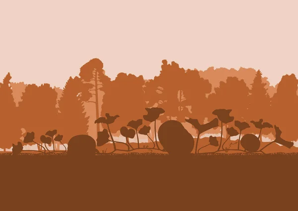 Campo de abóbora na frente do vetor de pôr do sol da floresta —  Vetores de Stock