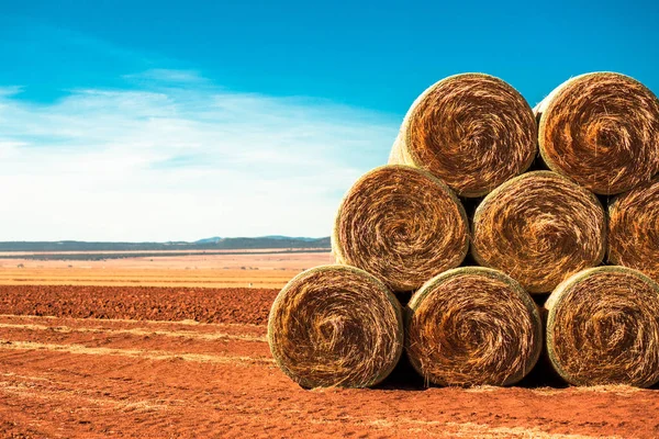 Hay Bales in Chihuahua