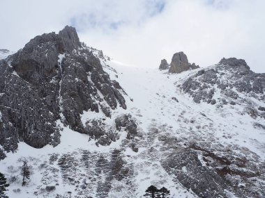 Shangri-La adlı Çin