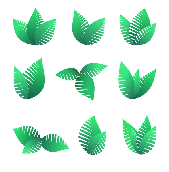 Symboles de feuilles en croissance — Image vectorielle