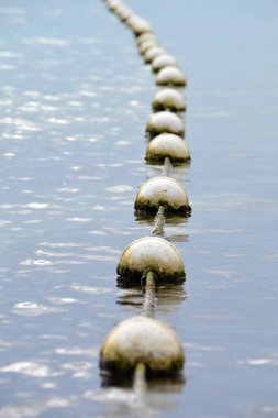 Eski yüzme sınırı deniz suyunda, yosunlu