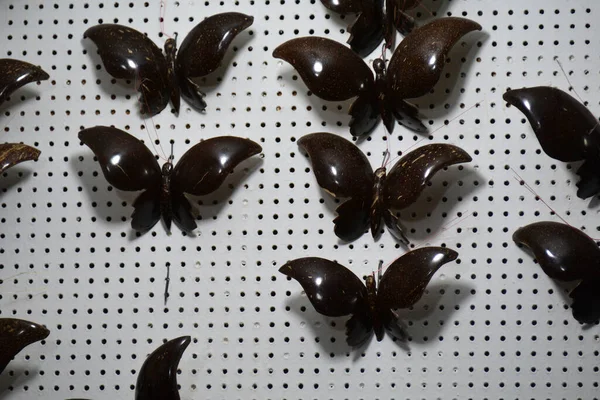 Деревянные Бабочки Кокосовой Скорлупы Стене Продажи — стоковое фото